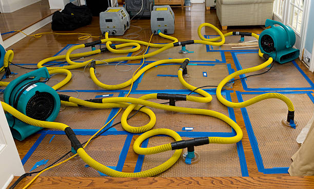 Professional Basement Flood Cleanup technician working in Ward, AR